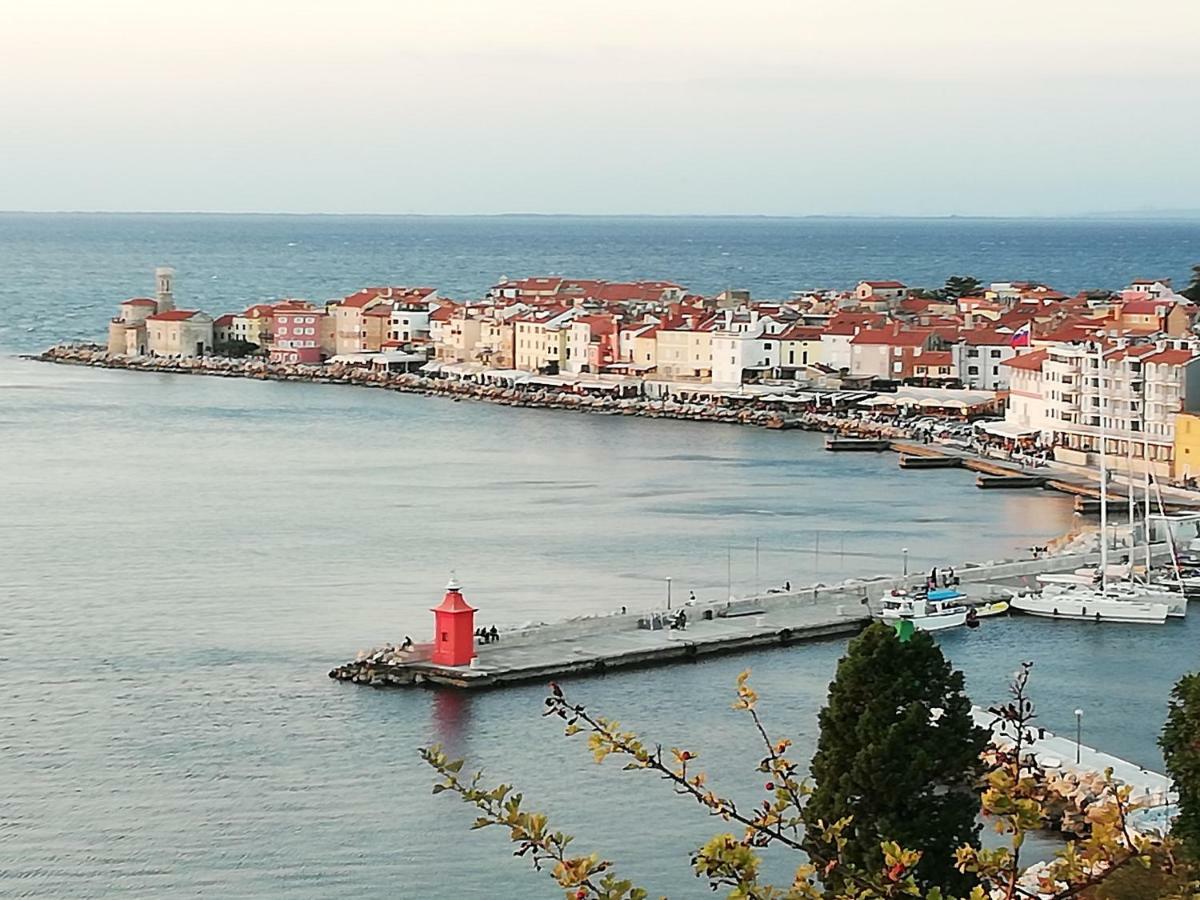 Nono Mario Apartment Piran Bagian luar foto